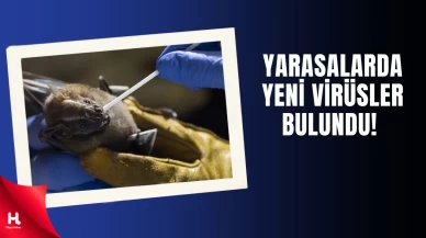 Ölüm Oranı Yüzde 75'e Varıyor: Başka Bir Pandemi Mi Geliyor?