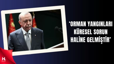 Cumhurbaşkanı Erdoğan: 'Orman Yangınları Küresel Sorun Haline Geldi'