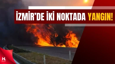 İzmir’de Orman ve Otluk Yangını!