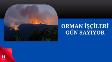 'Orman İşçileri Grev İçin Geri Sayımda'