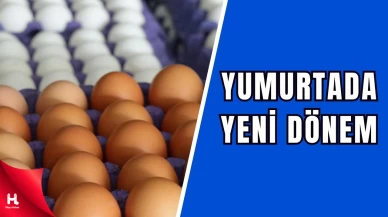 Yumurtada İsrafı Azaltmaya Yeni Düzenlemeler