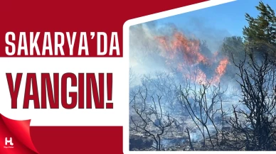 Orman Yangını Sakarya'da 2 Mahalleyi Tahliye Etti, Bilecik Tehlikede!