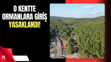 Valilikten Orman Girişlerine Kısıtlama