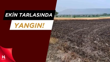 Hasada Günler Kala 8 Ton Buğday Yanarak Yok Oldu
