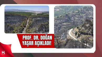 İzmir'de Orman Yangınlarında Yanan Alan Rekor Kırdı!