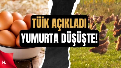 Et Yükseldi, Yumurta Üretimi Düştü!