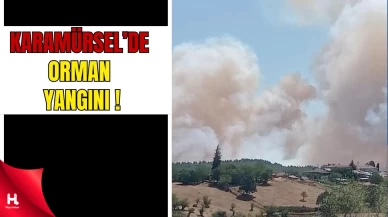 Kocaeli’de Orman Yangınına Havadan ve Karadan Müdahale