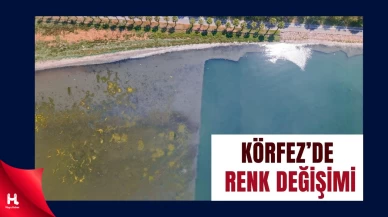Temizlik Projesi Körfez’in Rengini Değiştirdi