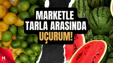 Karpuzda Fiyat Uçurumu: Üretici 1 TL, Market 8 TL!