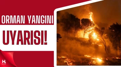 Orman Yangını Uyarısı: Risk Çok Yüksek