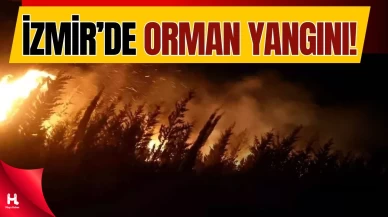 İzmir’de Orman Yangınına Havadan ve Karadan Müdahale