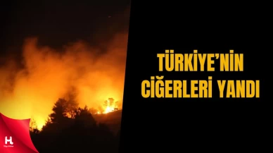 Bu Hafta Sonu Türkiye'nin Ciğerleri Yandı