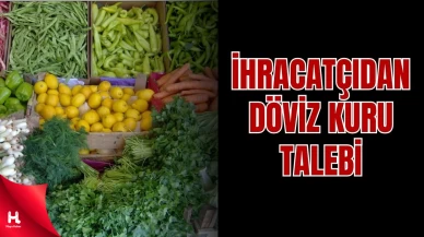 Meyve-Sebze İhracatçıları Döviz Kurundan Destek Bekliyor