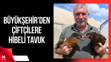 Kocaeli’de Çiftçilere Yüzde 50 Hibeli 16 Bin Tavuk Desteği