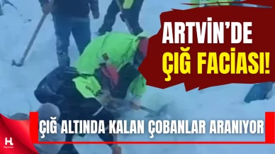 Ardanuç’ta çığ bölgesinde arama kurtarma çalışmaları yeniden başladı