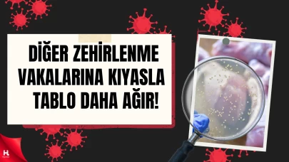 İzmir'de Bir Can Alan Sessiz Katil: Salmonella!