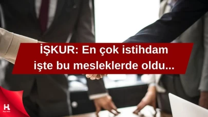 İstihdamın En Fazla Olduğu Meslekler Belli Oldu