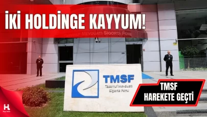 Dev Holdinge El Konuldu: TMSF Kayyum Olarak Atandı