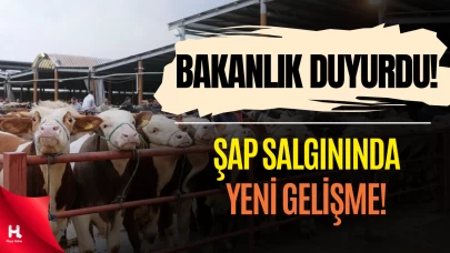 Tarım ve Orman Bakanlığı Şap Salgınıyla Mücadelede Son Durumu Açıkladı
