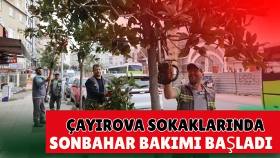 Çayırova’da mevsimlik budama çalışmaları başladı
