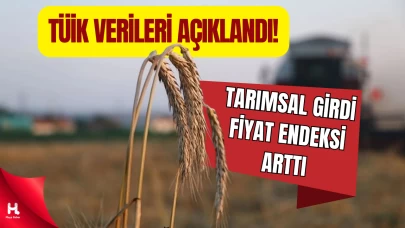Yıllık Bazda Tarımsal Girdi Fiyat Endeksi %33,66 Yükseldi