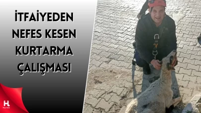 Balıkesir Edremit'te Koyun Kuyuya Düştü, İtfaiye Kurtardı