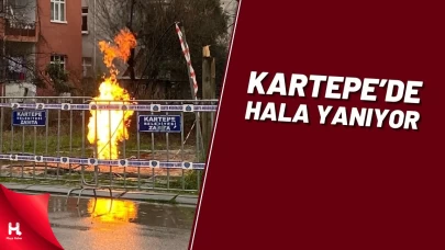 Kartepe'deki metan gazı 3 gündür yanıyor: Uzmanından önemli uyarı