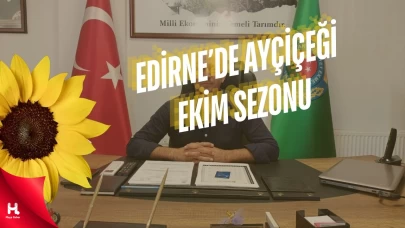 Edirne'de Ayçiçeği Ekim Sezonu Başladı