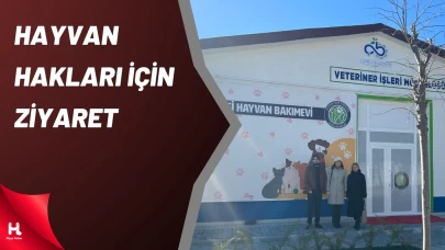 Teki̇rdağ Barosu’ndan Hayvan Hakları İçi̇n Saha Zi̇yareti̇