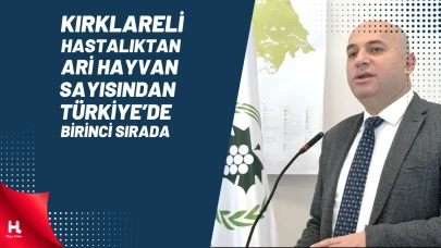 Kırklareli Hastalıktan Ari Hayvan Sayısından Türkiye’de İlk Sırada