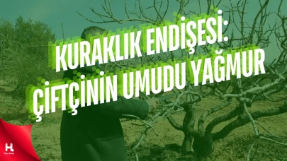 Kuraklık Endişesi: Çiftçilerin Umudu Bahar Yağmurlarında