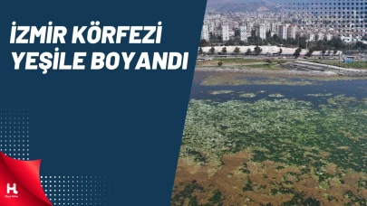 İzmir Körfezi adeta yeşile boyandı