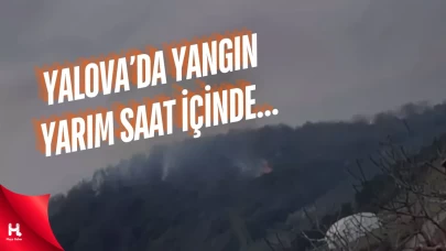 Yalova'da Orman Yangını Yarım Saatte Kontrol Altına Alındı