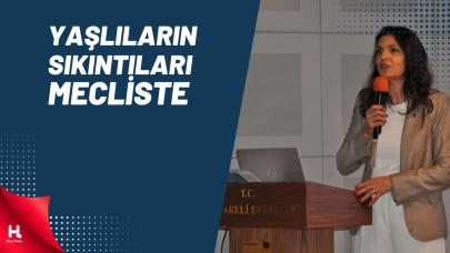 Başkan Ertaş Yaşlıların Sıkıntılarını Mecliste Anlattı