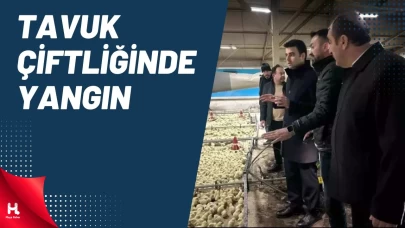 Bilecik'te Tavuk Çiftliğinde Yangın