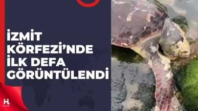 Caretta Caretta Rotayı Şaşırdı