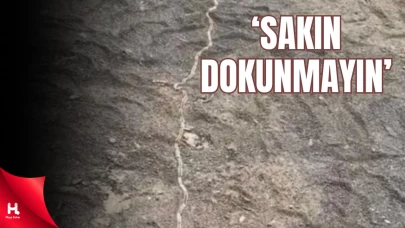 Tekirdağ'da Tırtıl Konvoyu Görüntülendi