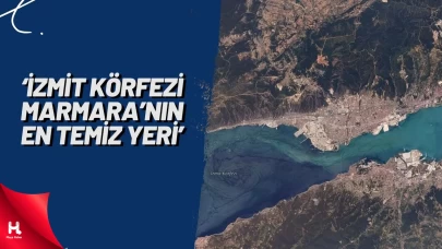 ODTÜ: İzmit Körfezi Marmara Denizi'nin En Temiz Yeri