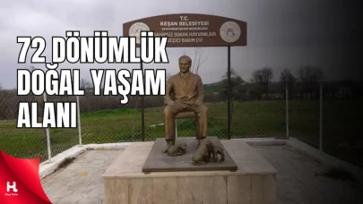 Sokak Hayvanları İçin 72 Dönümlük 'Doğal Yaşam Alanı'