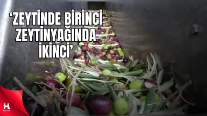 'Sofralık Zeytinde Dünya Birincisi, Zeytinyağında İkinci Olduk'