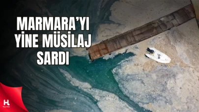 Müsilaj Çanakkale Ve Yalova'yı Sardı