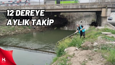 İzmit Körfezi’ne Akan 12 Dere Yakından İzleniyor