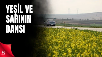 Tekirdağ’da Kanola Tarlaları Görsel Şölen Sunuyor