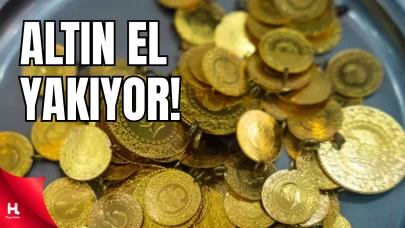 Her Gün Yeni Bir Zirve!