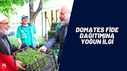 Kocasinan’da Domates Fide Dağıtımına Yoğun İlgi