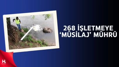 Kocaeli De Var: Bakanlık’tan 268 İşletmeye Müsilaj Mührü!