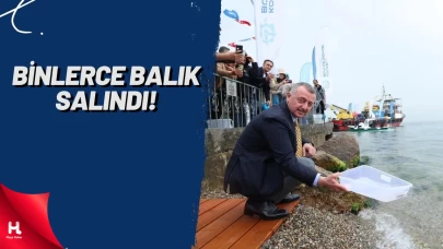 İzmit Körfezi’ne 6 Bin Yavru Balık Salındı, 100 Yapay Resif Bırakıldı