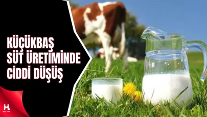 Keçi Sütü Üretiminde Ciddi Düşüş