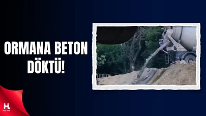 Kocaeli’de Betonu Ormana Döken Mikser Sürücüsü Suçüstü Yakalandı