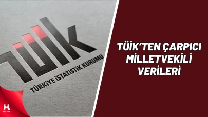 Temsil Ettiği İlde Doğan Vekil Oranı En Düşük Büyükşehir Kocaeli!